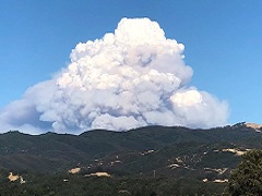 A large cloud of wildfire smoke rises over a forest. Photo by Glenn Morrill. 