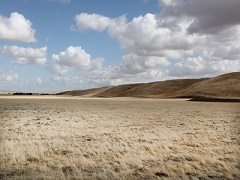 Dry grass valley with rolling hills in the background. Photo by Michael Westphal, BLM.