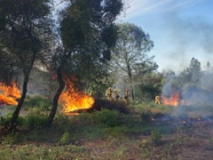 Piles of brush burning . Photo by Monte Kawahara/BLM. 