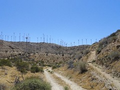 Wind turbines on a desert ridge. Photo courtesy of Aspen Environmental Group. 