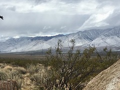 A high desert valley with tall, snow capped mountains. Photo by Caroline Woods/BLM.