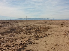 Brown desert with blue mountain range in the distance. Photo by BLM.