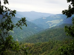 Picture of Lacks Creek watershed northwest of Arcata, California. Photo by BLM.