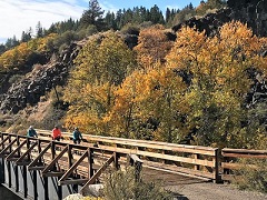 Bright yellow and red leaves line a timber bridge on the Bizz Johnson Rail Trial. Photo by BLM.