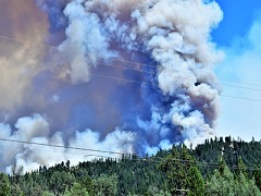 A massive fire cloud rises over a forest. Photo by Eric Coulter, BLM.