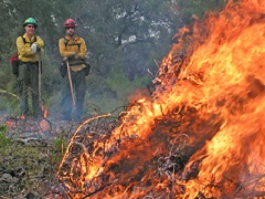 Two firefighters watch a controlled burn pile. Photo by the BLM.
