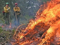 A fire crew observes a controlled pile burn. Photo by BLM. 