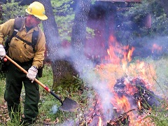 A firefighter oversees a burning pile of brush. Photo by the BLM.