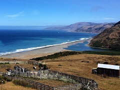 Camp ground on Pacific Coast. (BLM Photo)