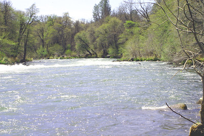 Rushing river in riparian forest. Photo by the BLM