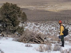 Image of a firefighter in snow covered brush.