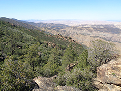 A mountain landscape with trees.