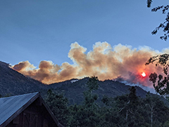 The Sun seen through the smoke of the apple fire.