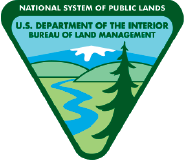 BLM Logo