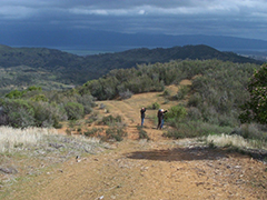 Hikers on a dirt road.