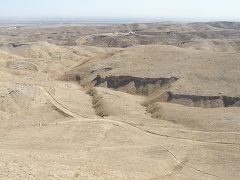image of dry, rolling, hills bisected by a dirt road. Photo by BLM.