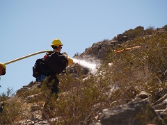 Image of a Firefighter putting out a brush fire in the desert. Photo by BLM.