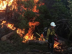 Image of wildland firefighter walking in front of fire. Photo by Kyle Clendenen, BLM.