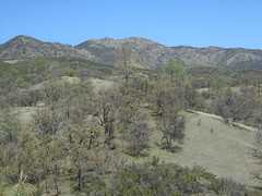 Green hills and oaks at the Clear Creek Management Area. Photo by Ryan O'Dell/BLM)