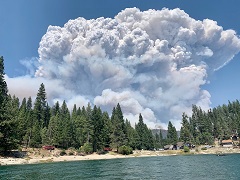 Smoke column from Creek Fire. Photo Credit Ryan Waugh .