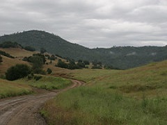 A dirt path between two green hills. (BLM Photo)