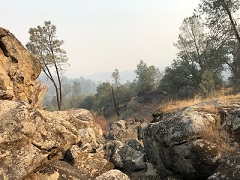 Boulders in the foreground, forest in the distance. Photo by Somer Shaw, BLM.