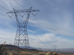 An image of a transmission line in a grassy field. Photo courtesy of Mike Calvitti, LVRAS Project. 