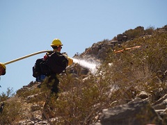 Fire fighters spray desert brush with a fire hose. Photo by Steve Razo/BLM.