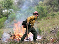 Fire fighter conducts controlled burn in wet field. Photo by BLM.