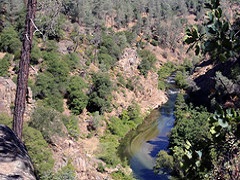 Green riparian area surrounding Lower Clear Creek. Photo by Jeff Fontana/BLM.