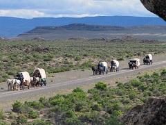 A train of 19th century wagons in high desert. 