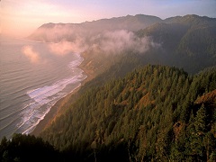 A picture of the King Range National Conservation Area coastline