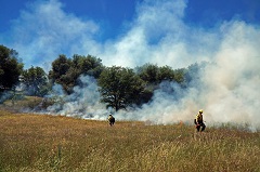 Image of prescribed burn at Cronan Ranch (Monte Kawahara/BLM).