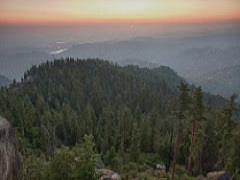 Aerial image of Sierra Nevada forest overlooking the Central Valley. 