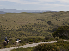 Two horse riders on a dirt road in Fort Ord National Monument.