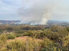 A wildfire in a sage covered hills.