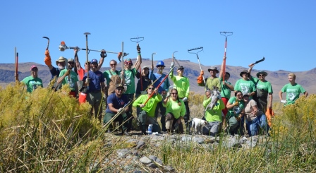 BLM Nevada NPLD vounteer group photo of habitat project crew