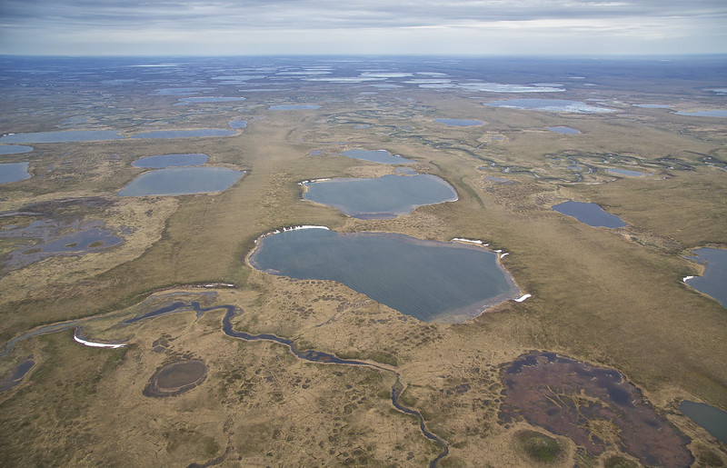 National Petroleum Reserve in Alaska aerial photo of lakes