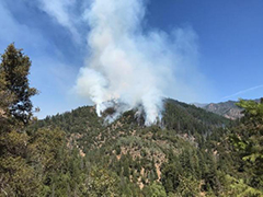 Smoke rising from a forest on a hill.