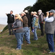 photo of people looking at the coastline