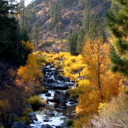 photo of river with colorful trees and hills