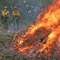 photo of firefighters watching pile of wood burn