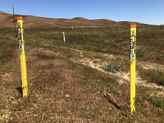 Plains Pipeline in the Carrizo Plain (Serena Baker/BLM).