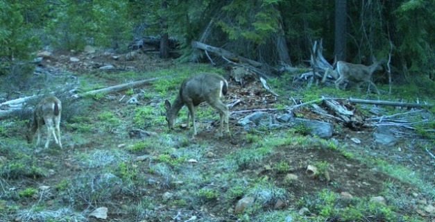 Cascade-Siskiyou National Monument