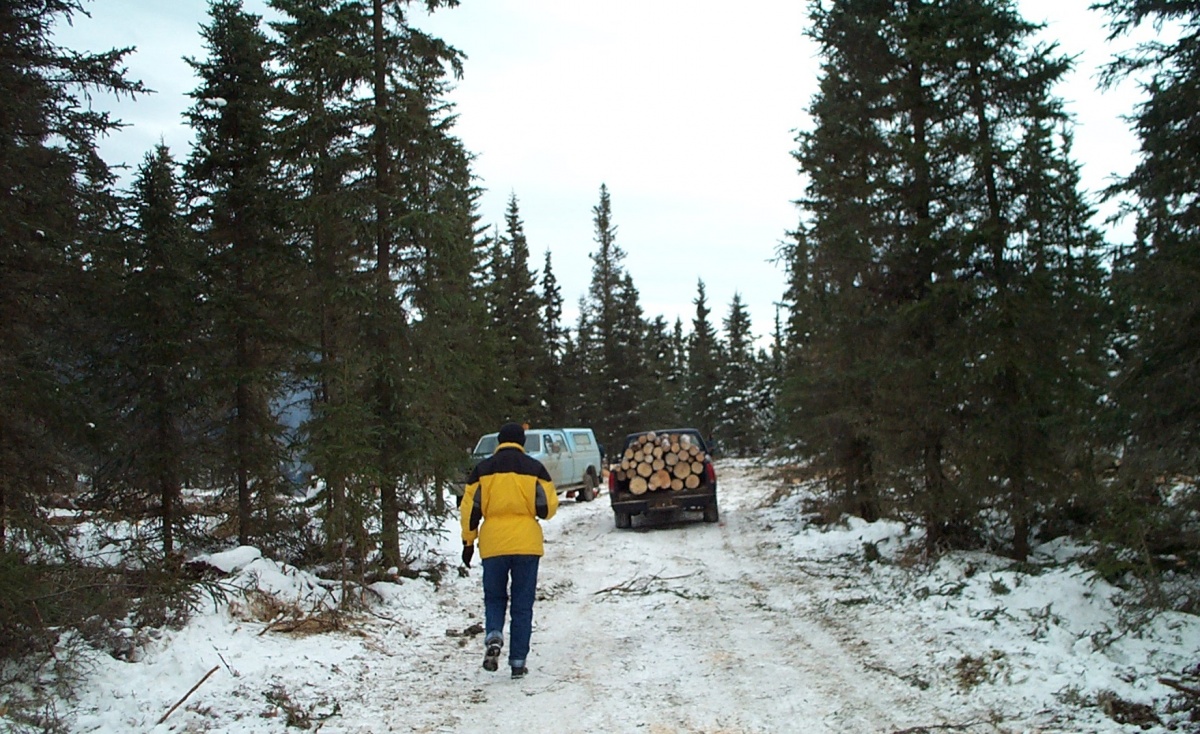 Residents loading up cut logs into vehicles. Photo by Eric Geisler