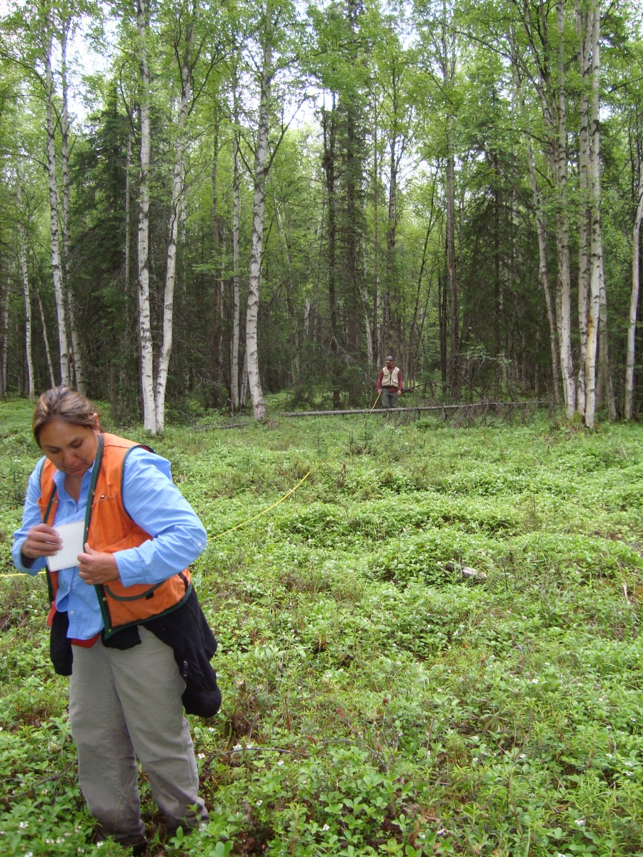 Two Foresters taking measurements at BLM Campbell Tract