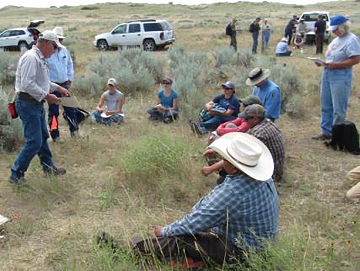 Students learn plant production techniques in the field