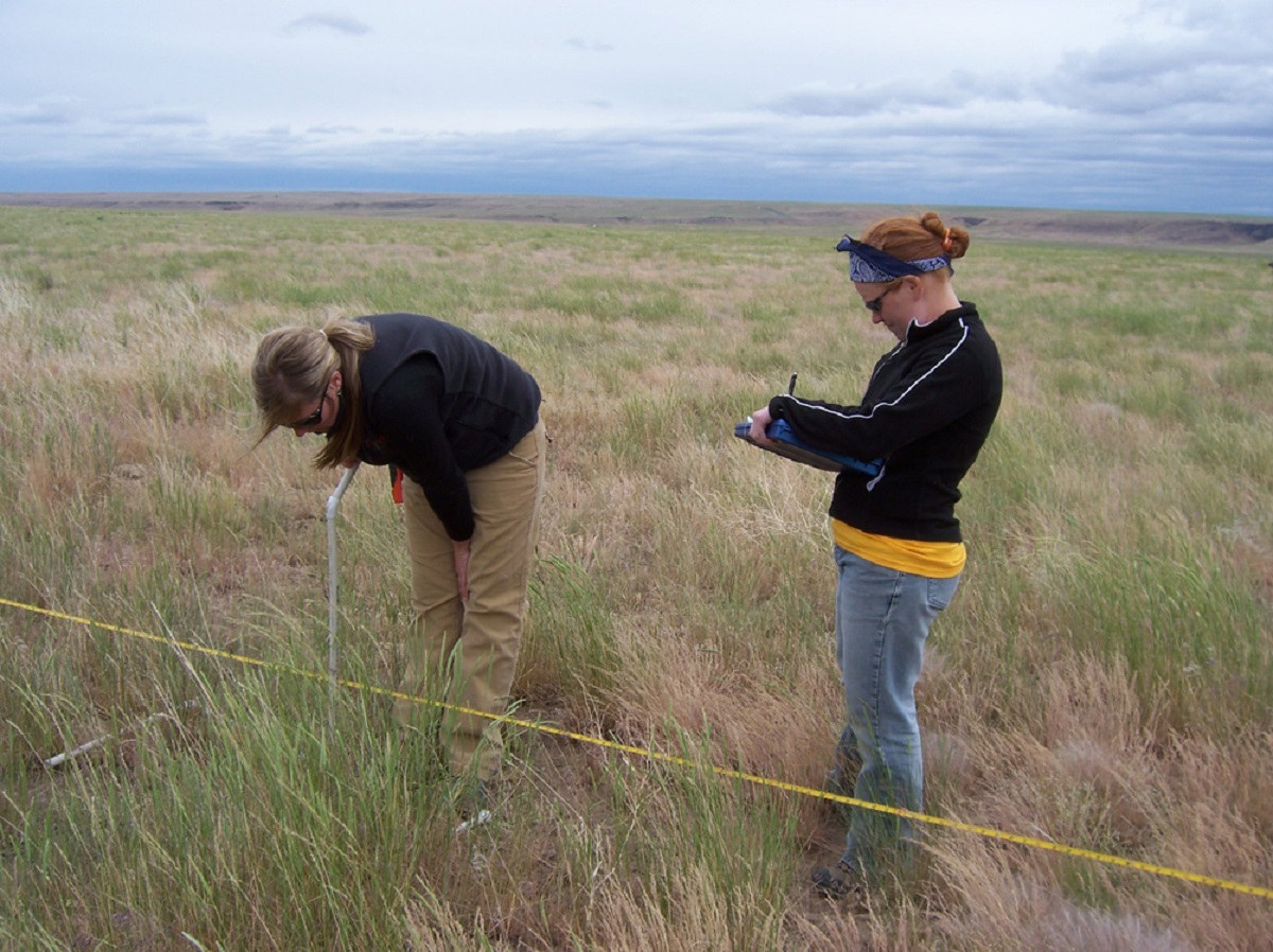 BLM and partners work together to monitor Idaho's rangelands