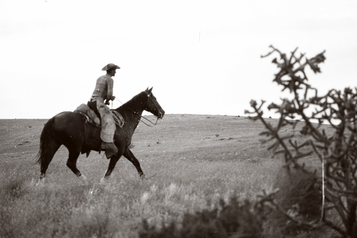 Magdalena Stock Driveway in the 1950s