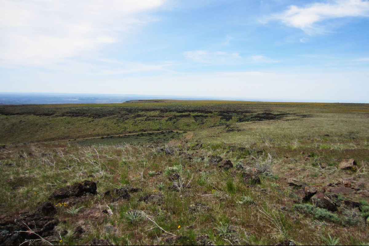 A wide landscape view of an area with blue skies and green vegetation.